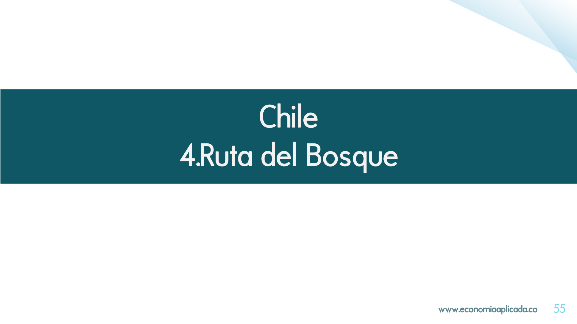Slide55